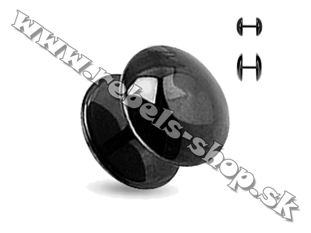 Falošný plug
