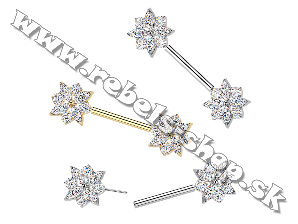 Piercing do bradavky